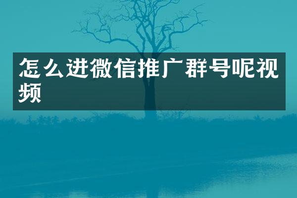 怎么进微信推广群号呢视频