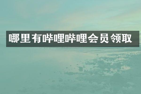 哪里有哔哩哔哩会员领取