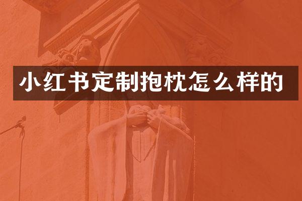 小红书定制抱枕怎么样的