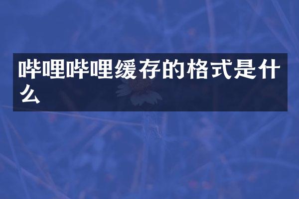 哔哩哔哩缓存的格式是什么