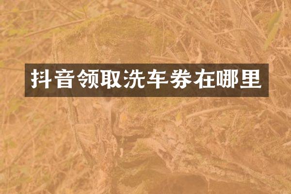 抖音领取洗车券在哪里