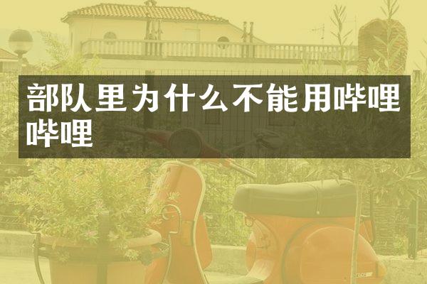 部队里为什么不能用哔哩哔哩