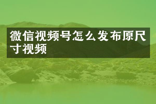 微信视频号怎么发布原尺寸视频