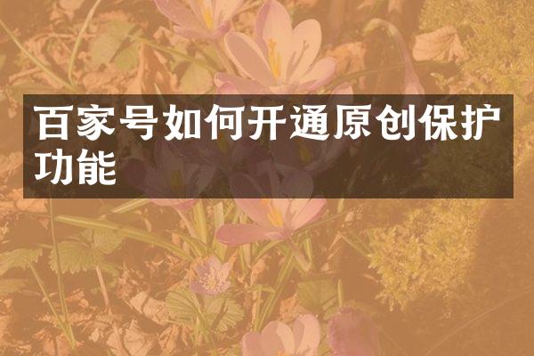 百家号如何开通原创保护功能