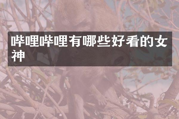 哔哩哔哩有哪些好看的女神