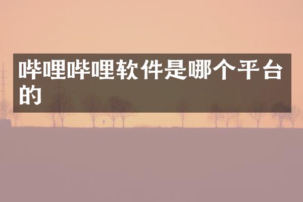 哔哩哔哩软件是哪个平台的