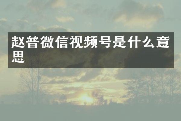 赵普微信视频号是什么意思