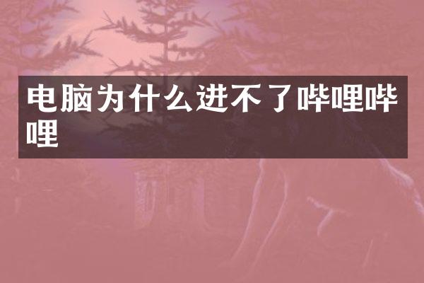 电脑为什么进不了哔哩哔哩