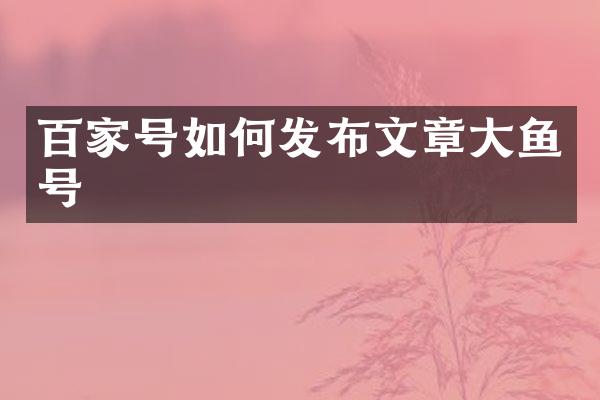 百家号如何发布文章大鱼号