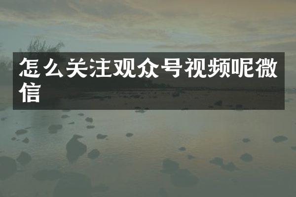 怎么关注观众号视频呢微信