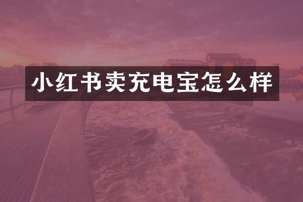 小红书卖充电宝怎么样