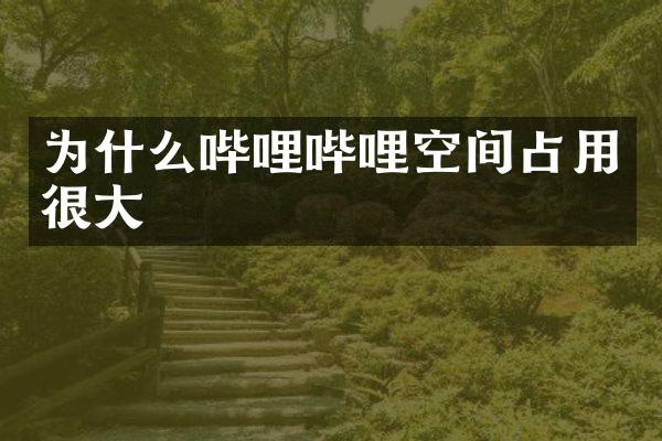 为什么哔哩哔哩空间占用很大