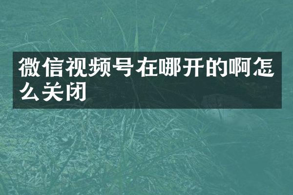 微信视频号在哪开的啊怎么关闭