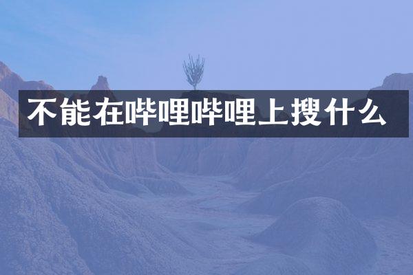不能在哔哩哔哩上搜什么