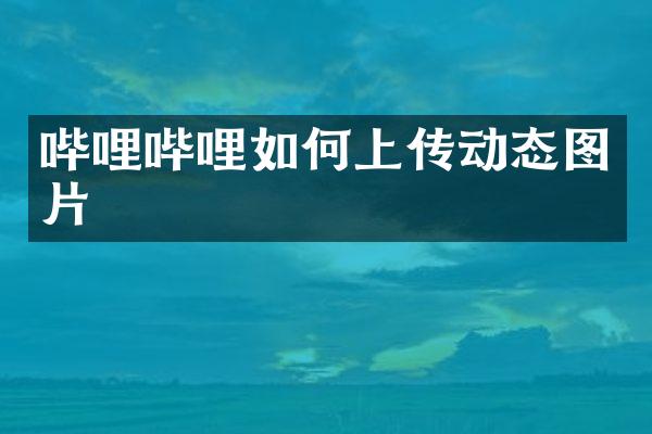 哔哩哔哩如何上传动态图片
