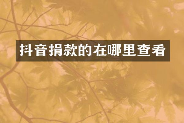 抖音捐款的在哪里查看