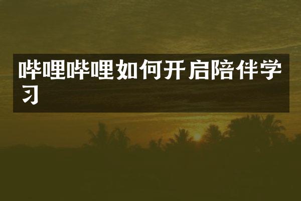 哔哩哔哩如何开启陪伴学习