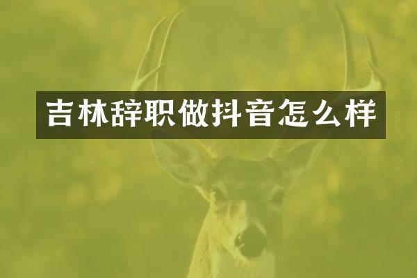 吉林辞职做抖音怎么样