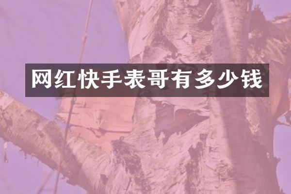 网红快手表哥有多少钱