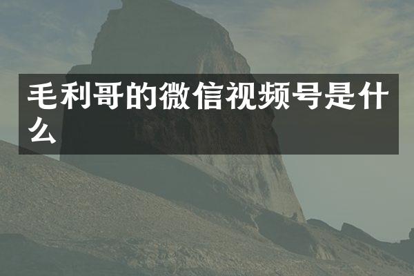 毛利哥的微信视频号是什么