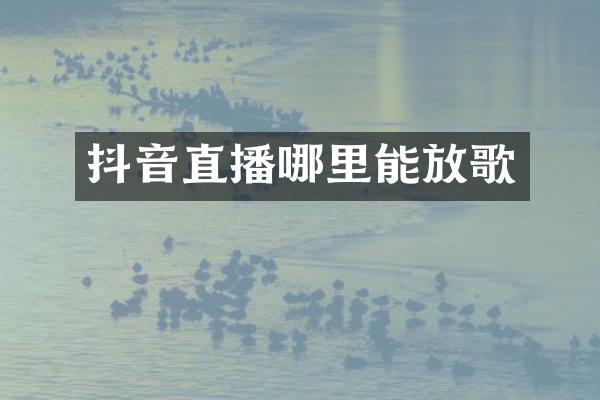 抖音直播哪里能放歌