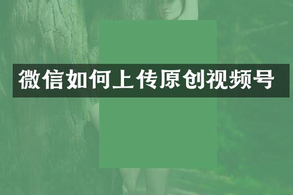 微信如何上传原创视频号