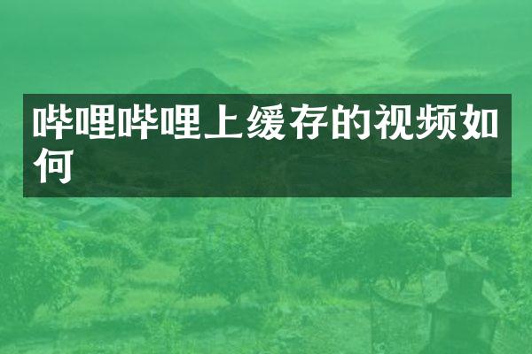 哔哩哔哩上缓存的视频如何