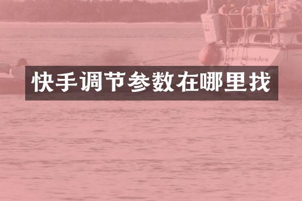 快手调节参数在哪里找
