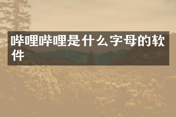 哔哩哔哩是什么字母的软件