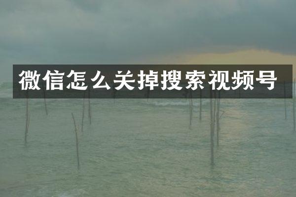 微信怎么关掉搜索视频号