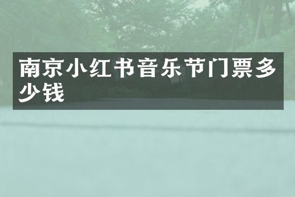 南京小红书音乐节门票多少钱