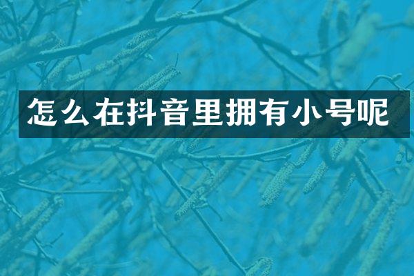 怎么在抖音里拥有小号呢