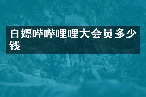 白嫖哔哔哩哩大会员多少钱