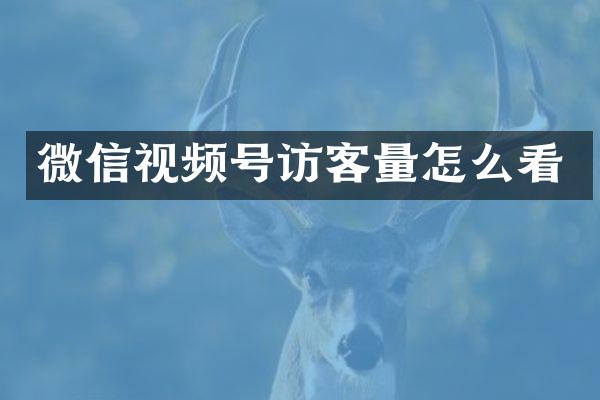 微信视频号访客量怎么看