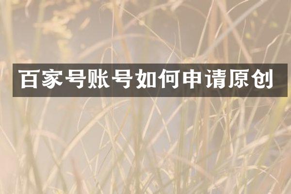 百家号账号如何申请原创