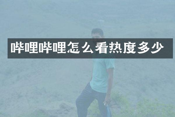 哔哩哔哩怎么看热度多少