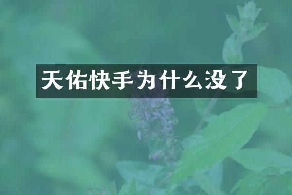天佑快手为什么没了