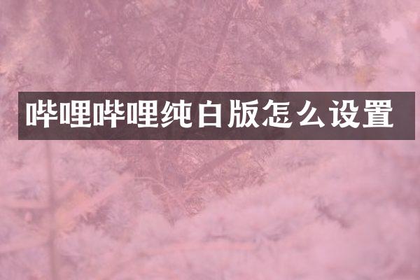 哔哩哔哩纯白版怎么设置