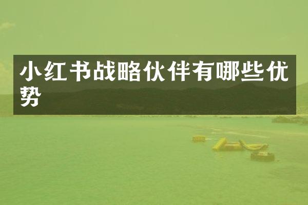 小红书战略伙伴有哪些优势