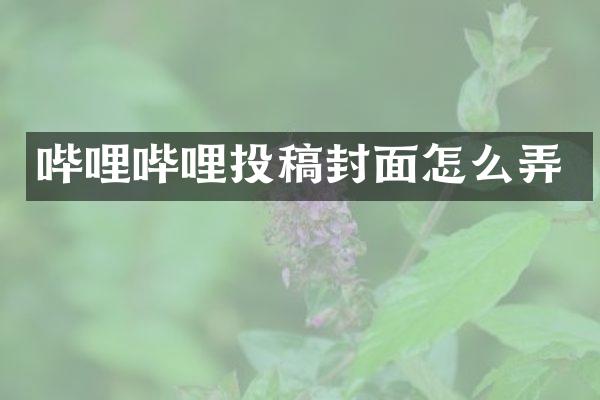 哔哩哔哩投稿封面怎么弄