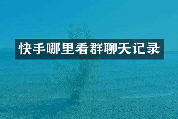 快手哪里看群聊天记录