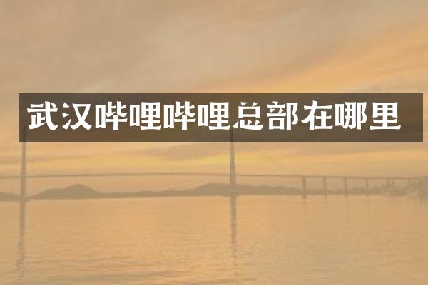 武汉哔哩哔哩总部在哪里