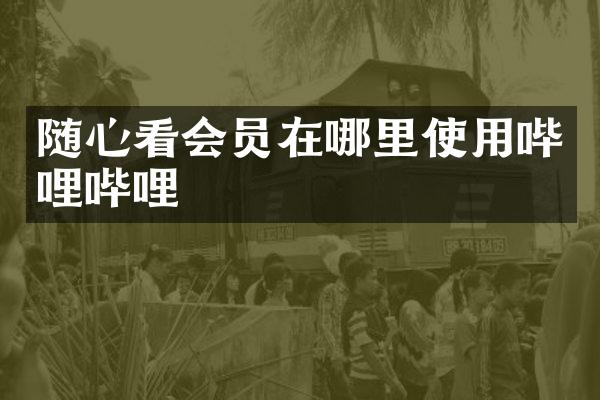 随心看会员在哪里使用哔哩哔哩
