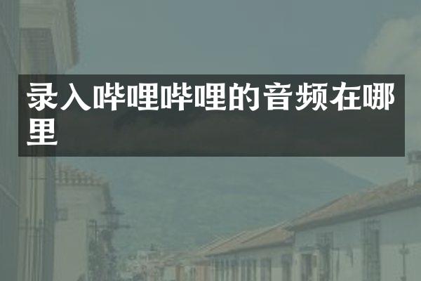 录入哔哩哔哩的音频在哪里