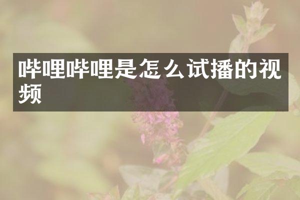 哔哩哔哩是怎么试播的视频