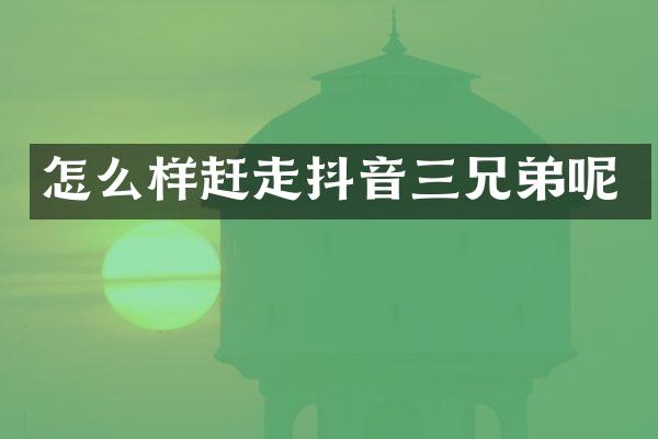 怎么样赶走抖音三兄弟呢