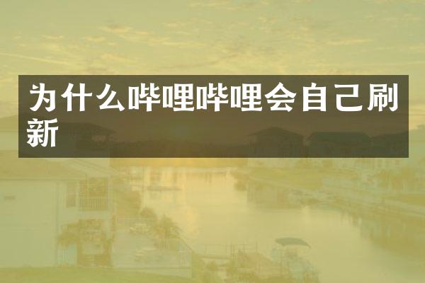 为什么哔哩哔哩会自己刷新