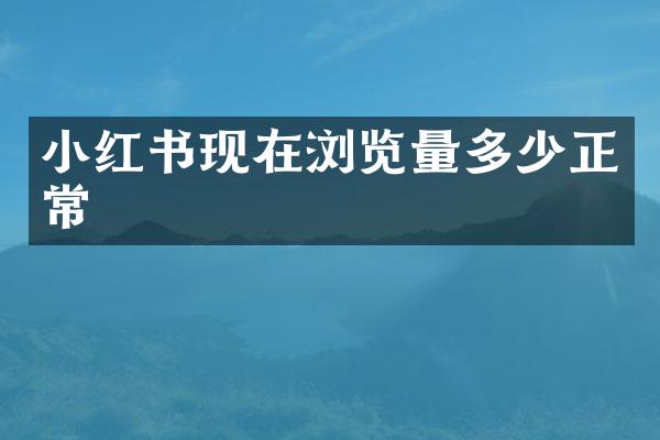 小红书现在浏览量多少正常