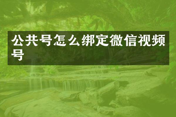 公共号怎么绑定微信视频号