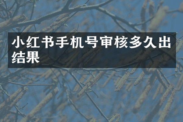 小红书手机号审核多久出结果